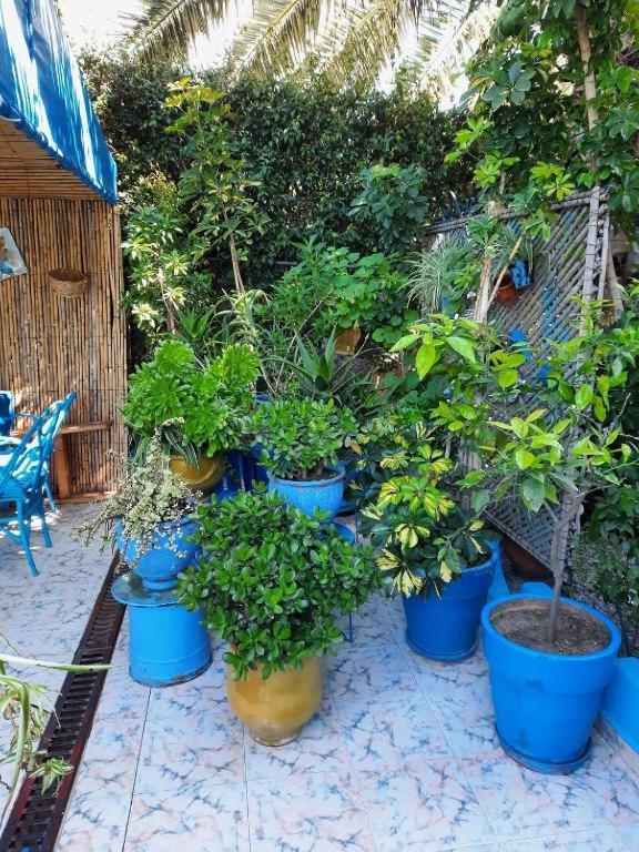 Maison D Hotes Marine Ksar Sghir Kültér fotó