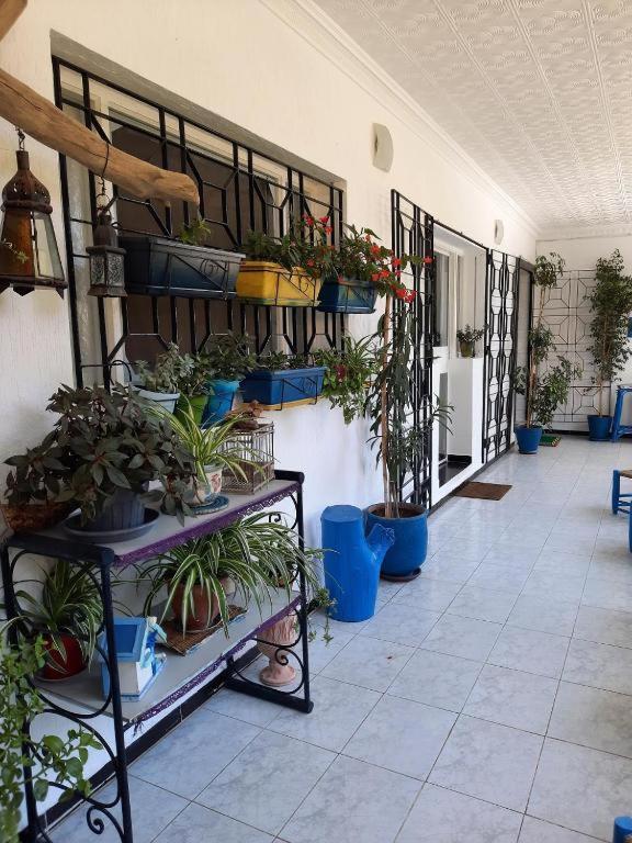 Maison D Hotes Marine Ksar Sghir Kültér fotó