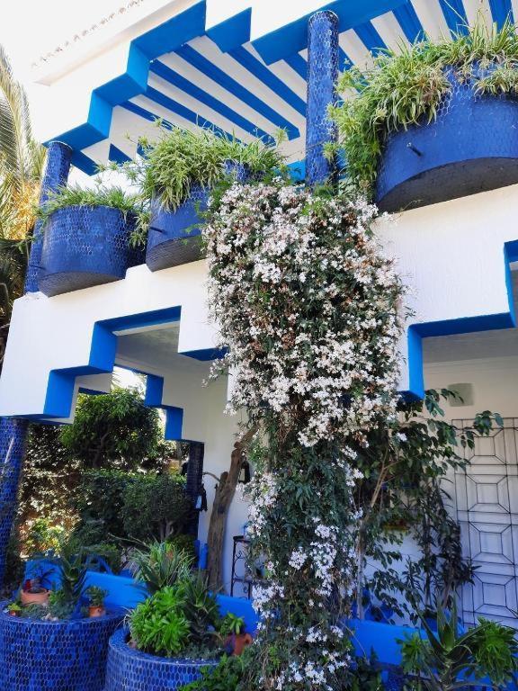 Maison D Hotes Marine Ksar Sghir Kültér fotó