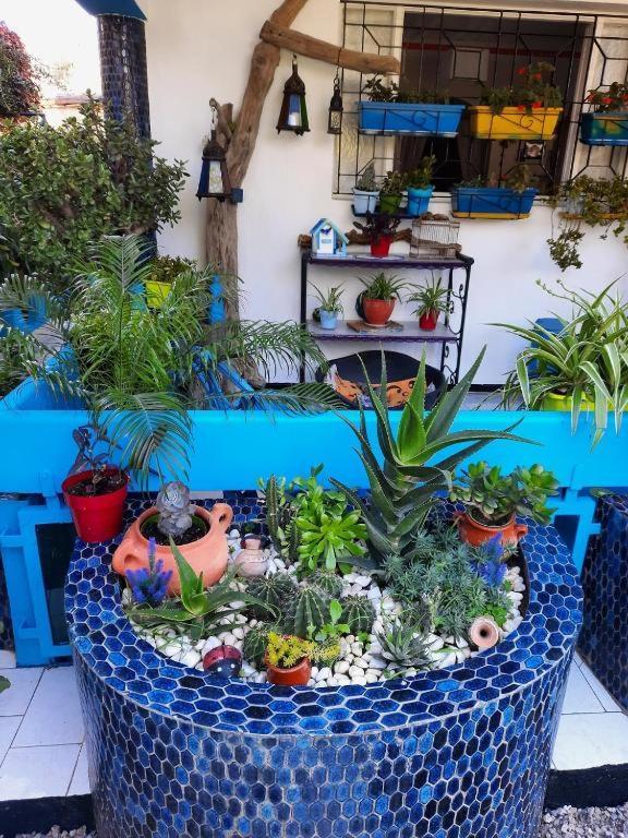 Maison D Hotes Marine Ksar Sghir Kültér fotó
