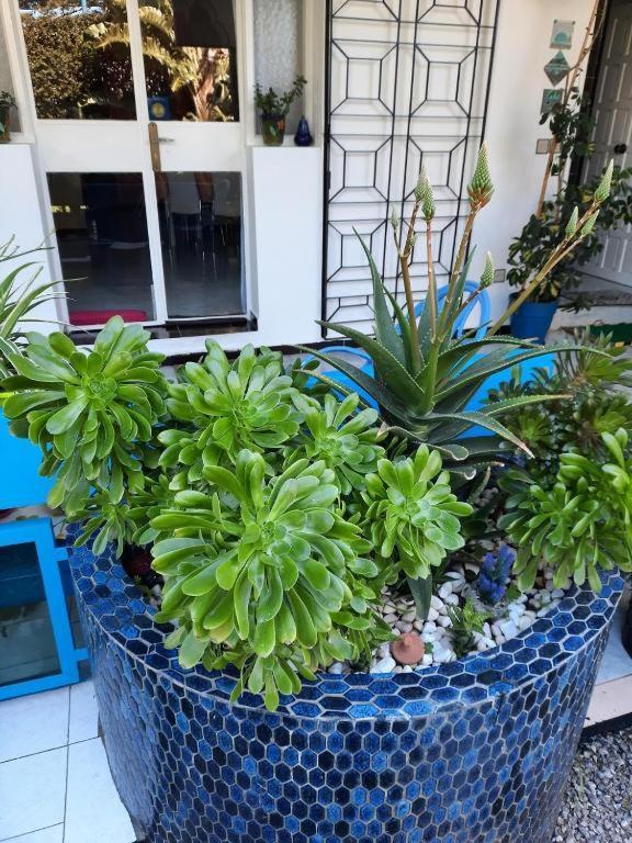 Maison D Hotes Marine Ksar Sghir Kültér fotó