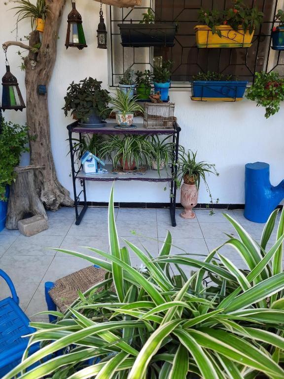 Maison D Hotes Marine Ksar Sghir Kültér fotó