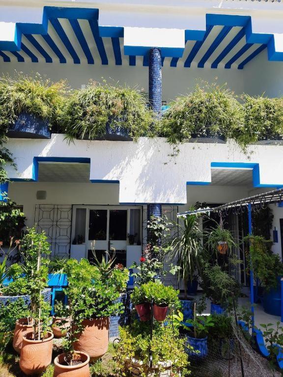 Maison D Hotes Marine Ksar Sghir Kültér fotó