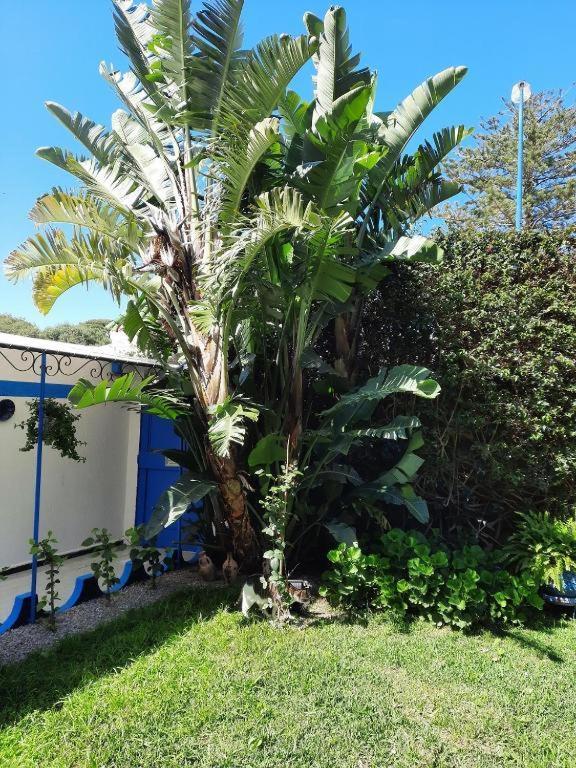 Maison D Hotes Marine Ksar Sghir Kültér fotó