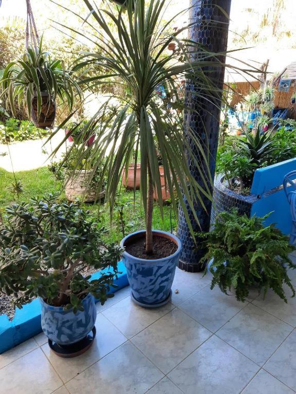 Maison D Hotes Marine Ksar Sghir Kültér fotó